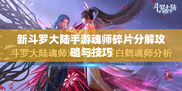 新斗罗大陆手游魂师碎片分解攻略与技巧