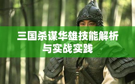 三国杀谋华雄技能解析与实战实践