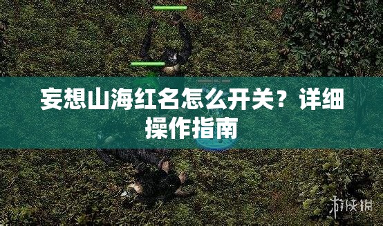 妄想山海红名怎么开关？详细操作指南